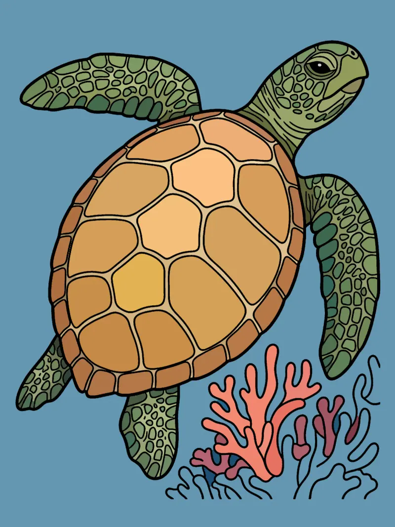 The sea turtle with every shape filled in one flat colour